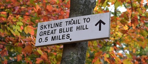 Blue Hills Banner